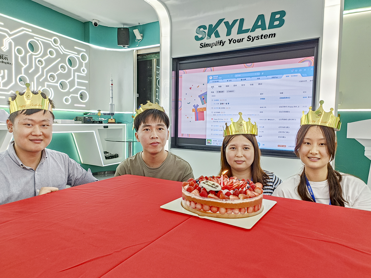 赴一场春日之约|SKYLAB 2023年第一季度生日会、迎新会